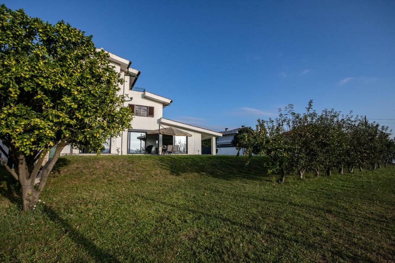 Viana Do Castelo Home Eksteriør billede
