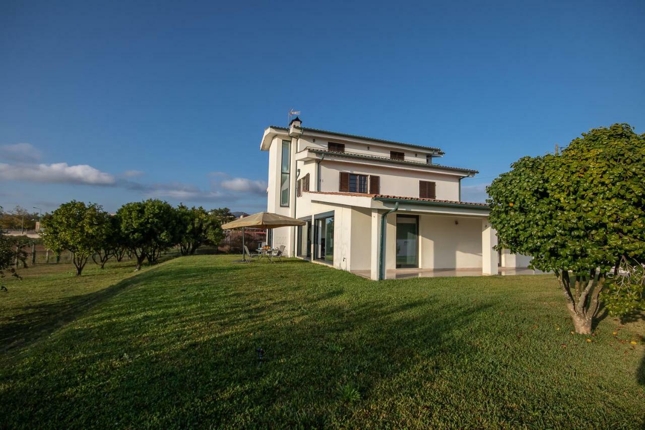 Viana Do Castelo Home Eksteriør billede